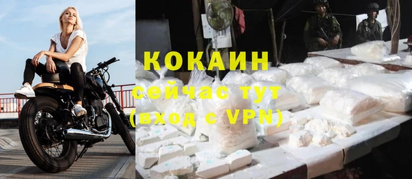 спайс Бородино
