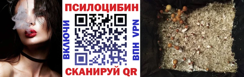 Галлюциногенные грибы Cubensis  Фролово 