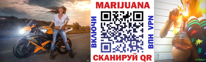 Конопля гибрид  Фролово 